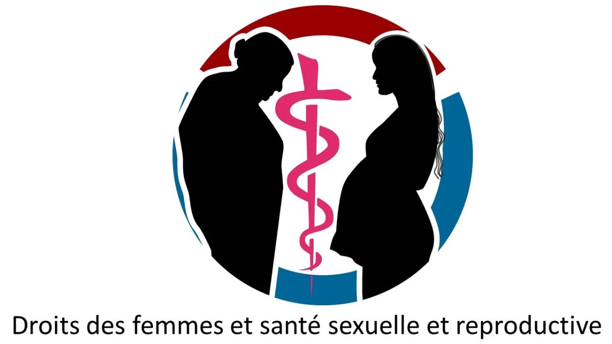 Aapf Les Droits En Santé Sexuelle Et Reproductive Le 21012021 A 12h 8581